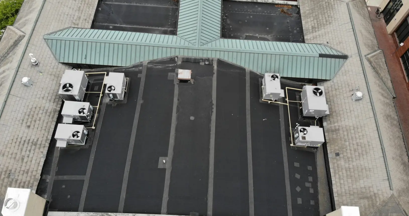 image3 (1)